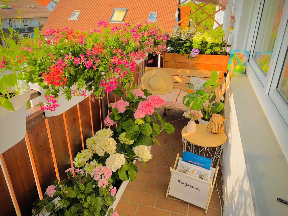 Gia Đình Chú Hải Cần Liền Chị Dưới 50 Tuổi Chịu Khó Thật Thà Giúp Việc Nhà