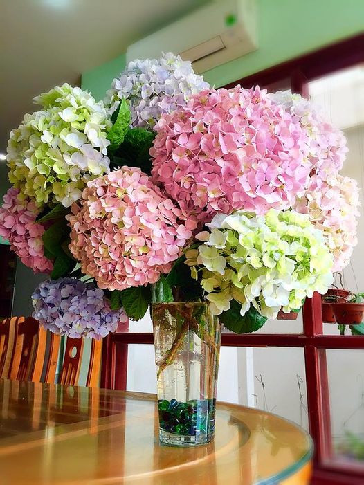 TÌM CHỊ CHUYÊN CHĂM SÓC BÀ SỨC KHỎE YẾU KHÔNG THỂ ĐI LẠI