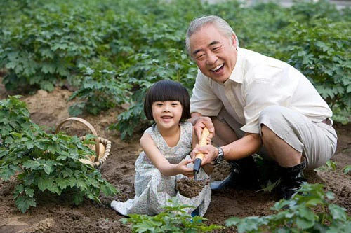 Cần Một Chị Trẻ Dưới 45 Tuổi Chuyên Chăm Người Lớn Tuổi