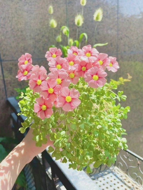 Ngay bến xe miền tây em tuyển cô giúp việc nhà, ưu tiên làm ăn ở lại nha