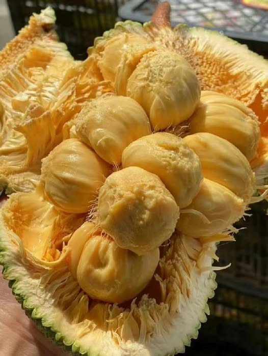 Nhà em cần cô giúp việc Thủ Thiêm - Lương 12 triệu