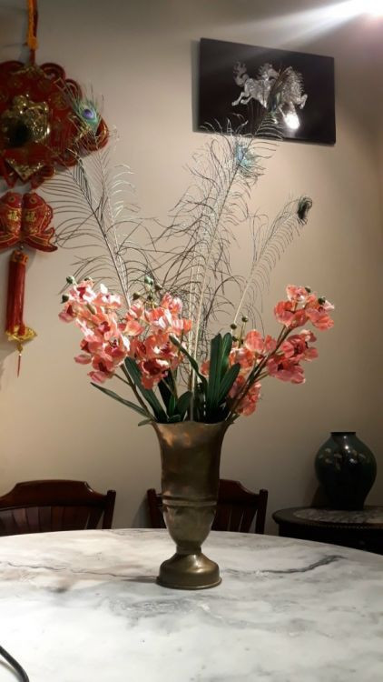 Vợ Chồng Cần Chị Chăm Sóc Ông Yếu Không Đi Lại Được