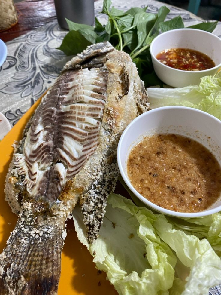 Tuyển Gấp Giúp Việc Nhà Quận 8 - chung cư Bông Sao