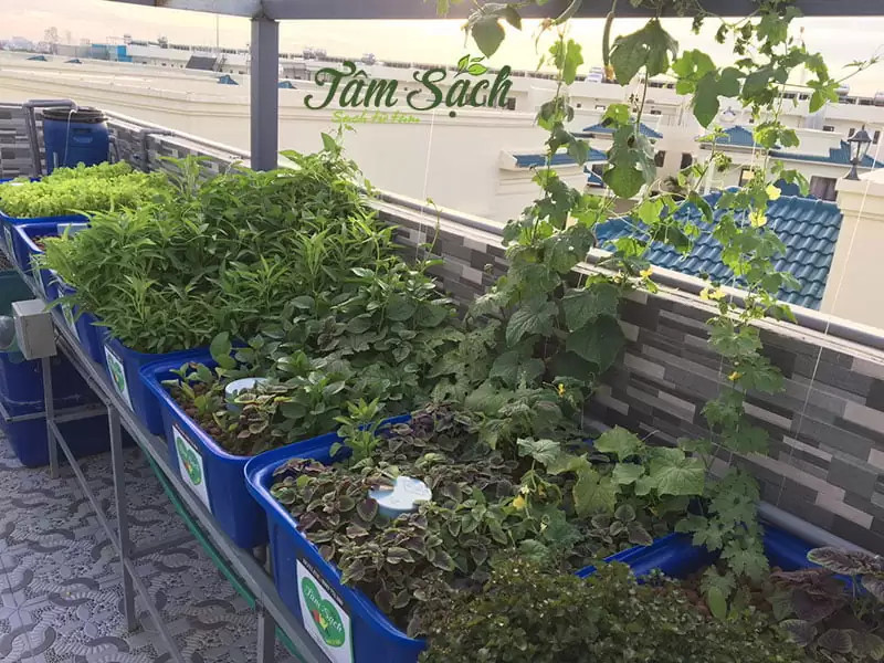 Gia Đình Vì Bận Rộn Tìm Chị Chuyên Nội Trợ Ăn Ở Cùng Gia Đình