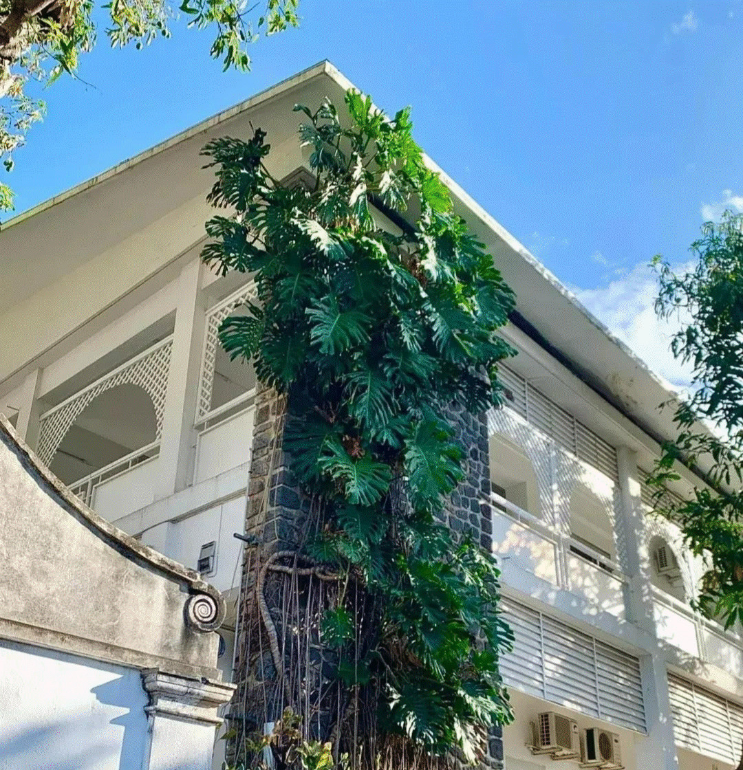 Tìm Gấp Chị Giúp Việc Nhà Cho Ông Bà Trẻ