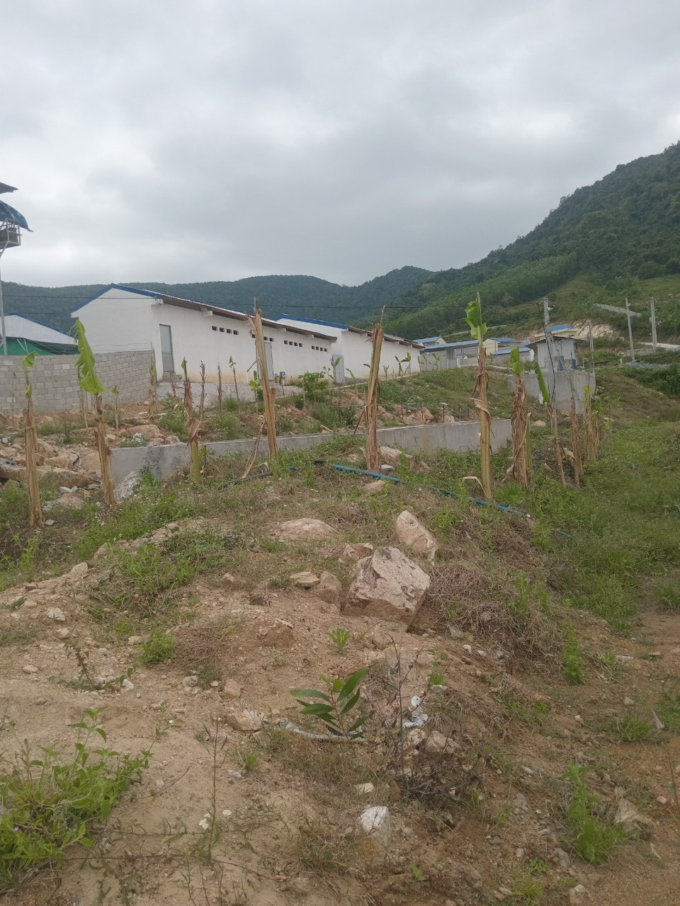 Tuyển Cô Giúp Việc Nhà Khu Phú Yên - Việc Nhẹ Lương Cao!