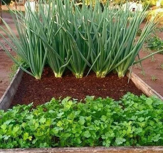 Tuyển Chị Giúp Việc Bao Ăn Ở Tại Gần Chợ Nhật Tảo, Quận 10.