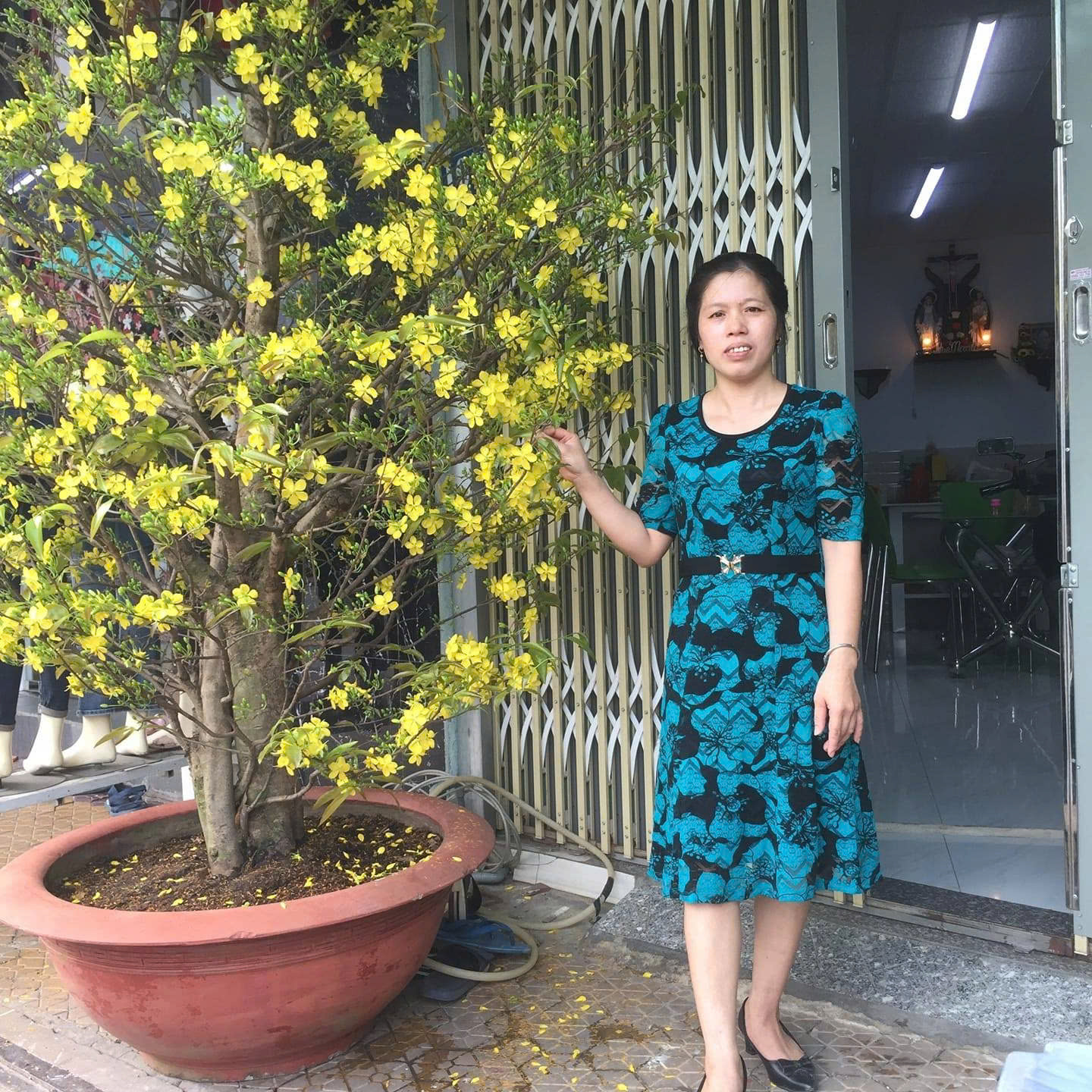 Cần người chăm Mai, bao ở. Lương 10 Tr