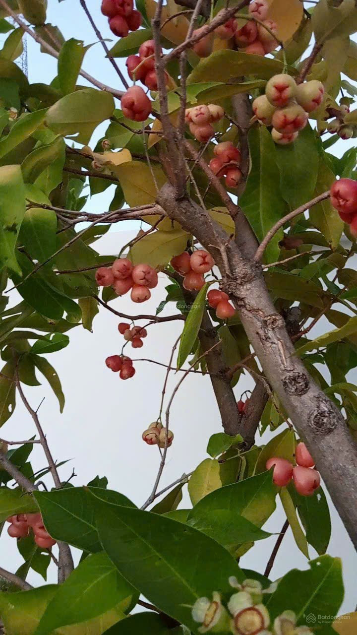 Lương 11 triệu, nhận việc đi làm ngay, làm bao ăn ở lại tại Q.Tân Phú - Sg