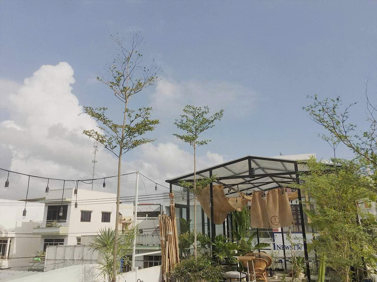 CẦN GẤP 1 CÔ GIÚP VIỆC NHÀ BAO ĂN Ở LẠI TẠI LONG AN