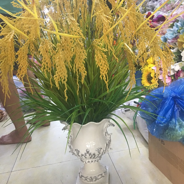 Đang Cần Gấp Chị Chuyên Chăm Sóc Người Lớn Tuổi Bị Tai Biến