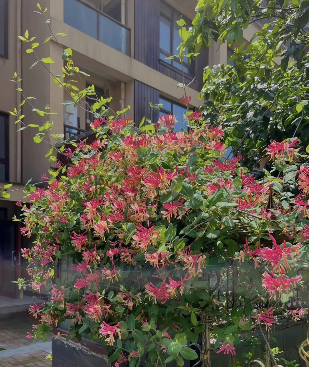 Vợ Chồng Hằng Ngày Mong Muốn Tìm Chị Giúp Việc Nhà Ở Lại Được