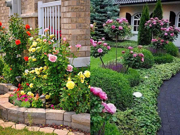 Tìm Người Giúp Việc Thật Thà, Chăm Chỉ - Khu Chung Cư Cao Cấp Quận 2