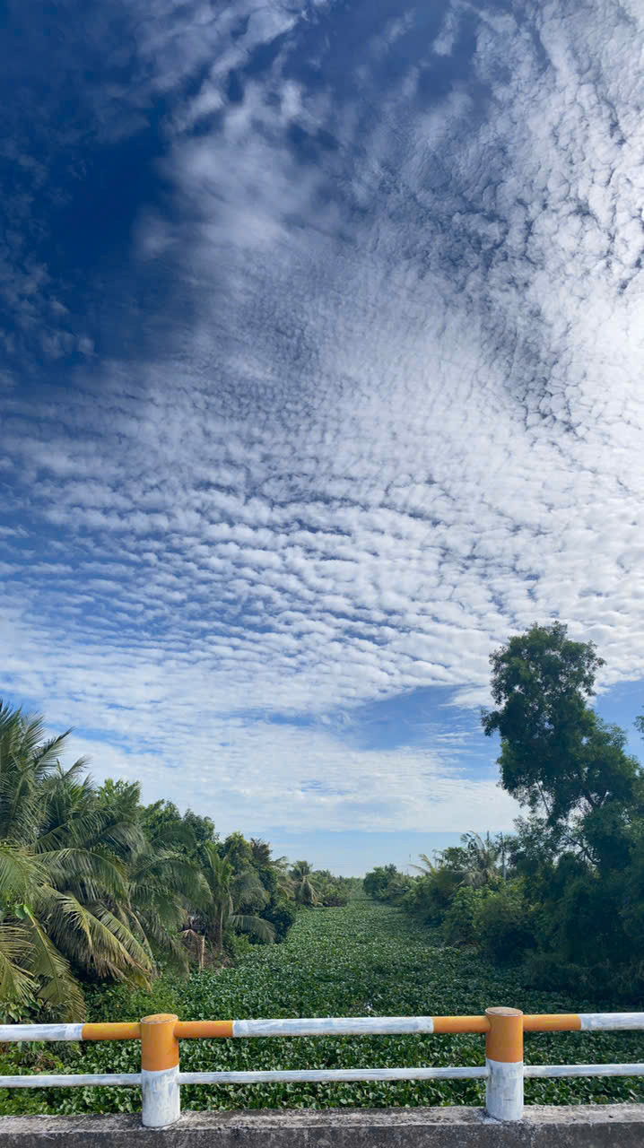 Giúp việc nhà Biên Hòa - Lương cao 14 triệu