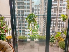 Tuyển cô giúp việc nhà Quận 9 - Việc nhẹ lương cao, có thưởng! - BAO ĂN Ở LẠI