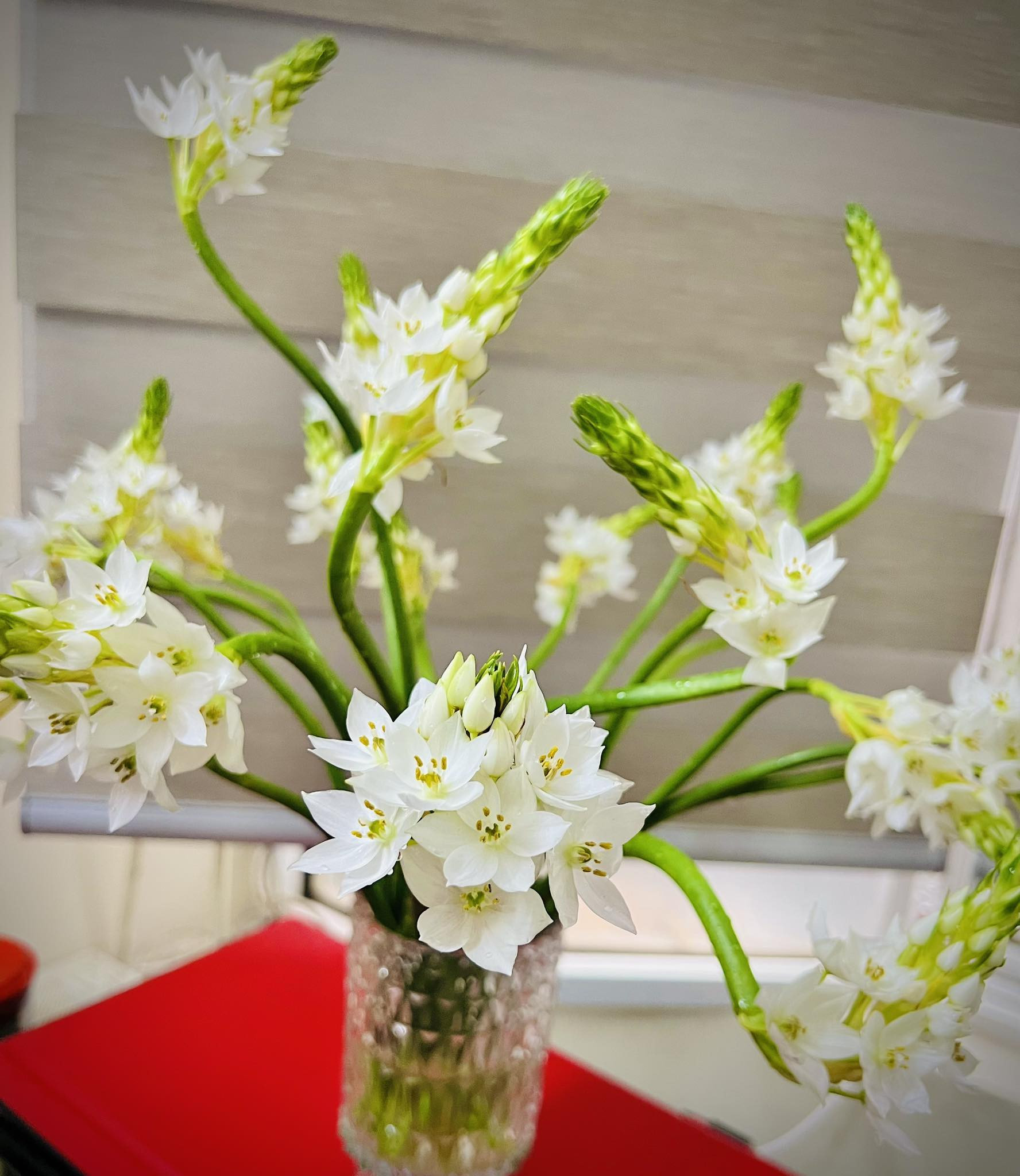 Ông Khoảng 90 Tuổi Cần Chị Đến Chăm Sóc Chu Đáo