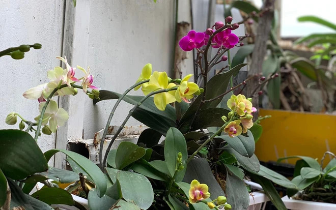 Gia Đình Ở Quận Bình Thạnh Cần Chị Về Giúp Việc Nhà Nội Trợ