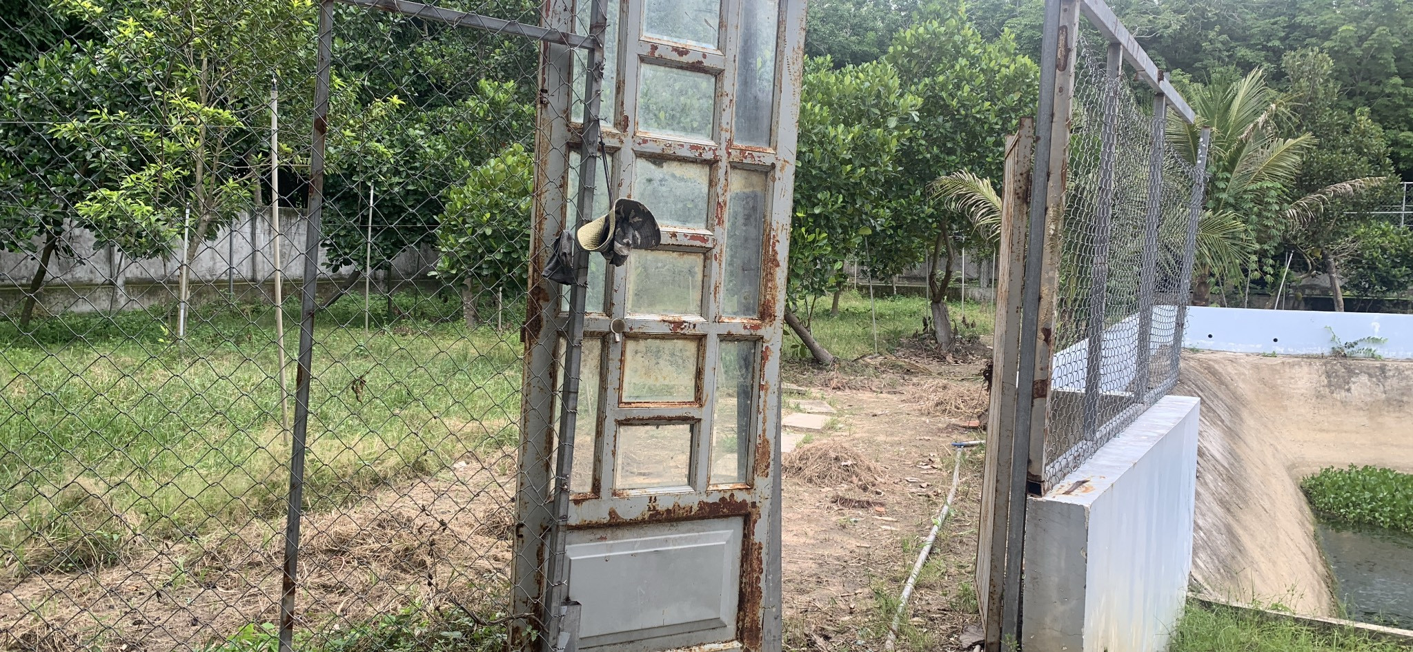 Cần gấp nam làm vườn trái cây bao ăn ở lại tại Củ Chi