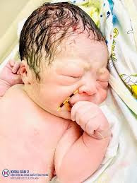 Tìm Cô Chăm Bé Sơ Sinh Yêu Thương Tại Chung Cư Đồng Nai - Lương Hấp Dẫn!