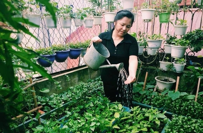 Tuyển cô làm vườn - tưới cây cảnh ở Thành phố Bến Tre Lương khởi điểm 8tr bao ăn ở