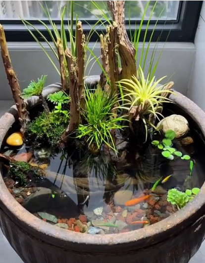 Tìm Chị Giúp Việc Bao Ăn Ở Tại Gần Bệnh Viện Ung Bướu, Quận Bình Thạnh.