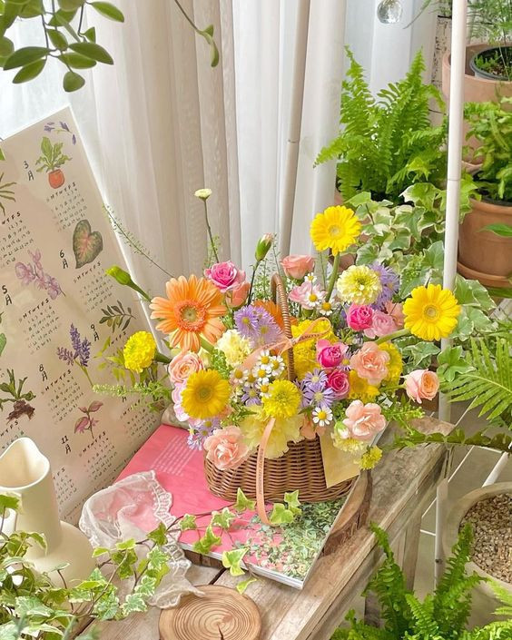 Nhà em có 2 lầu 40m2 ở gần Đầm Sen đang cần gấp 1 cô giúp việc