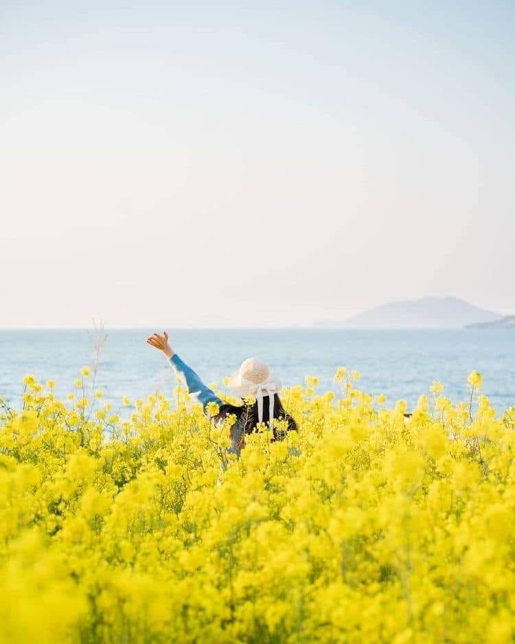 TÌM CHỊ GIÚP VIỆC NHÀ - Q. NHÀ BÈ CHUNG CƯ LƯƠNG 10TR