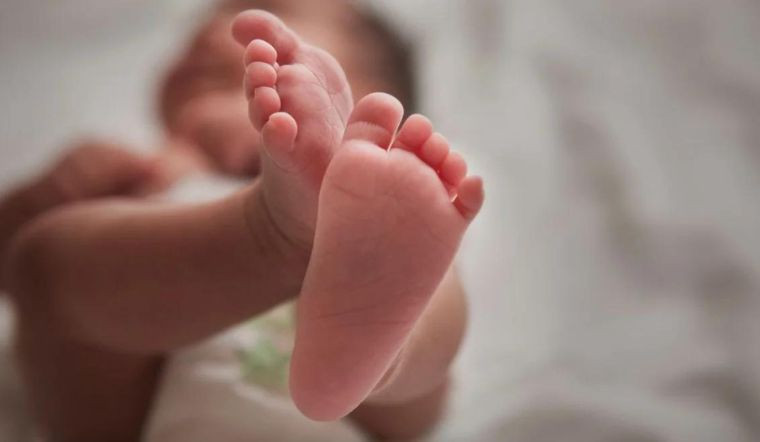 Gia đình cần chị chăm em 4 tháng lương 10 triệu ở Quận 10