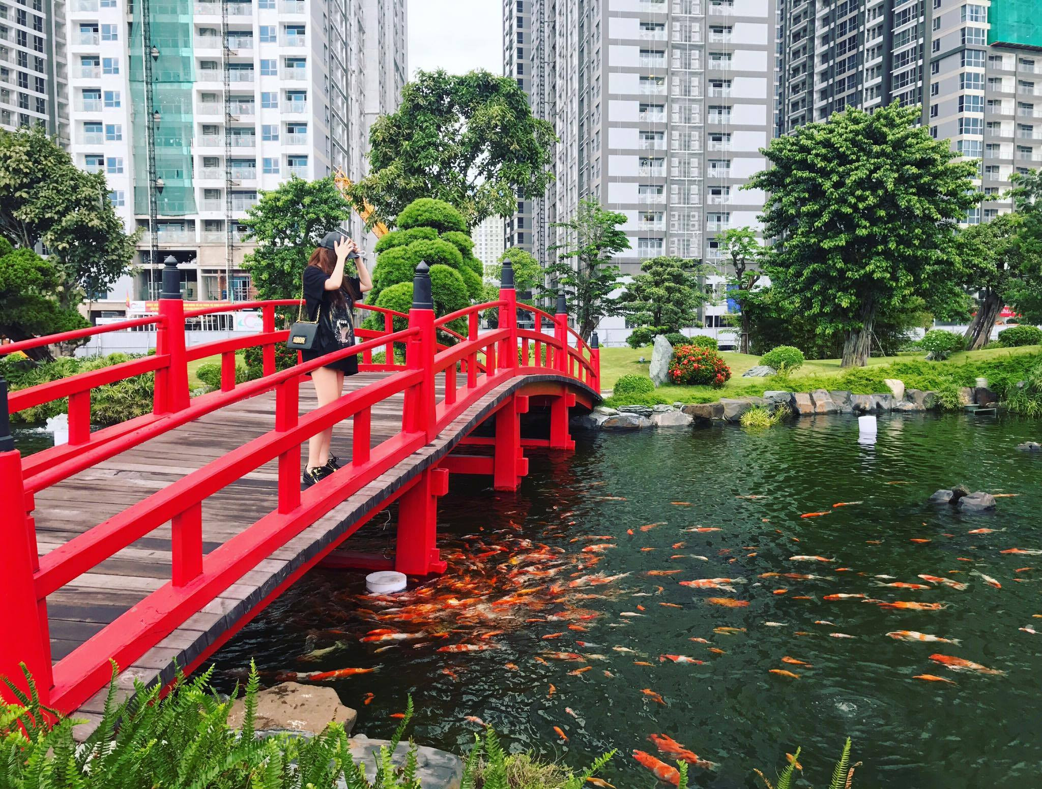 Tuyển cô giúp việc nhà ( bao ăn ở lại ). Nhà ở chung cư quận bình thạnh