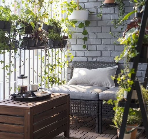 Vợ Chồng Chú Sang Nay Tìm Về Chị Có Kinh Nghiệm Giúp Việc Nhà