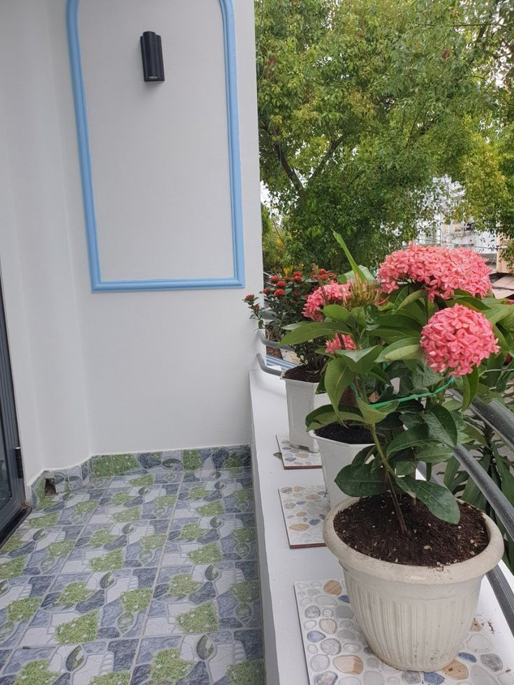 Cần tìm chị về lo lau dọn nhà cửa cho gia đình em