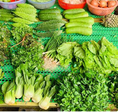 Cần Chị Nội Trợ Cho Gia Đình Ông Bà Do Con Cái Đi Làm Xa