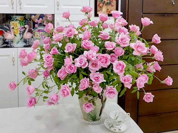 TÌM GẤP CHỊ CHĂM SÓC BÀ BAO ĂN Ở TẠI NHÀ