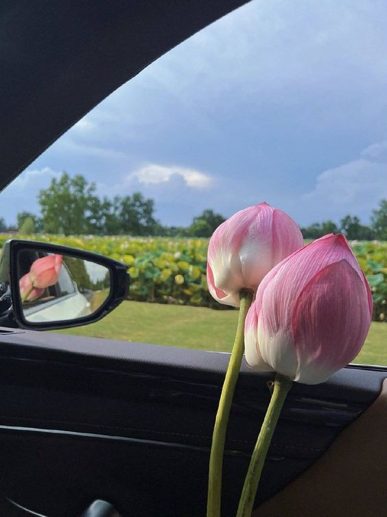 E cần tìm chị giúp việc nhà không yêu cầu kinh nghiệm !!