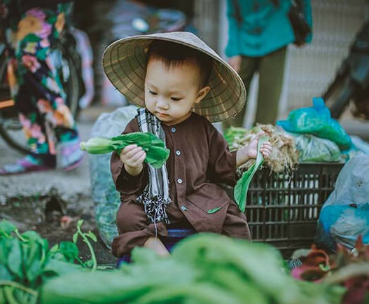 CẦM TÌM NGƯỜI CHĂM BÉ (Ở LẠI)