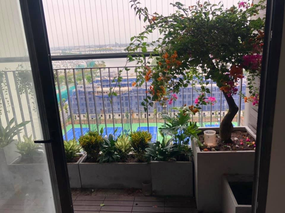 Tìm Gấp Chị Biết Nấu Ăn Ngon Quán Xuyến Việc Nhà Tốt